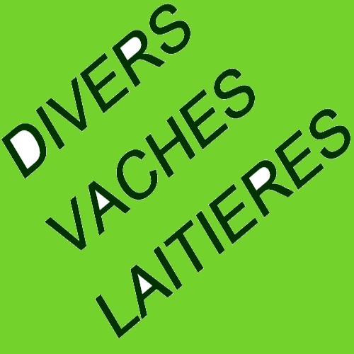 DIVERS